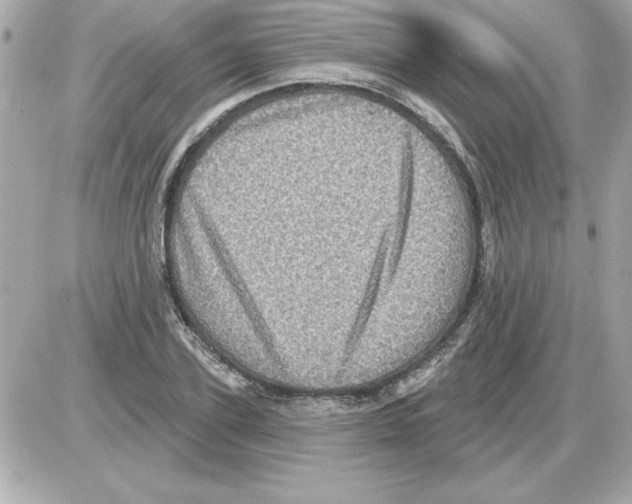 X0000085260931200704092110