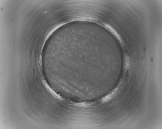 X0000085260932200704092111