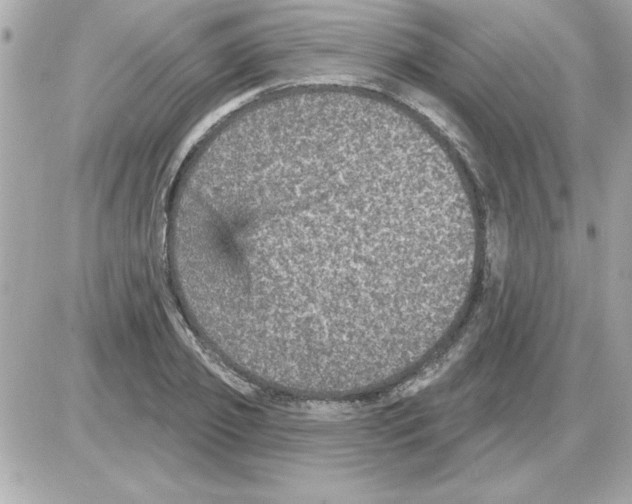 X0000085260933200704092111