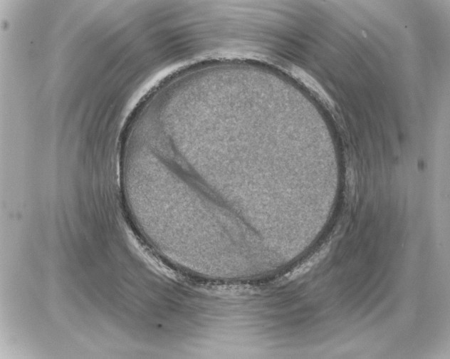 X0000085260934200704092111