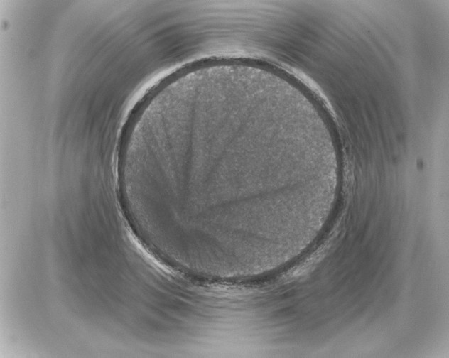 X0000085260935200704092111