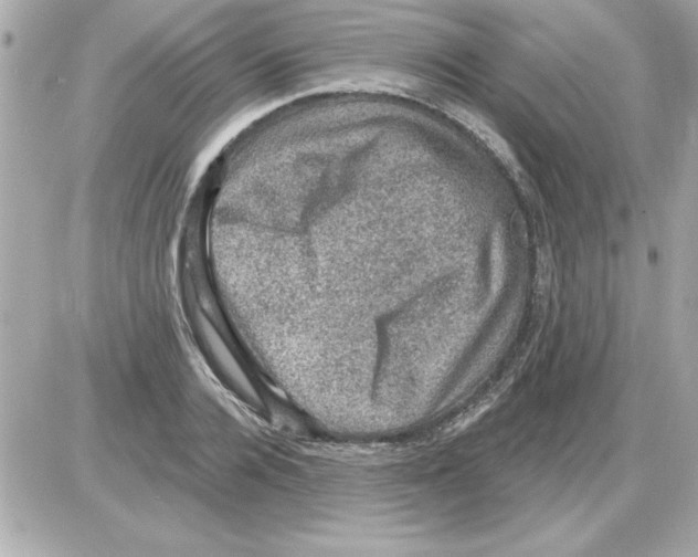 X0000085260936200704092111