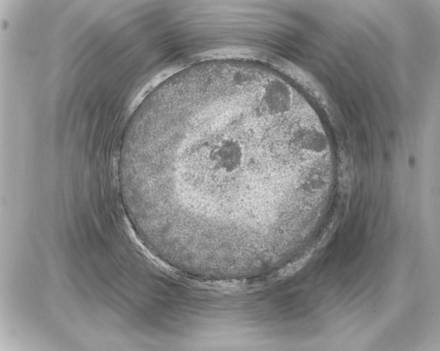 X0000085260937200704092111