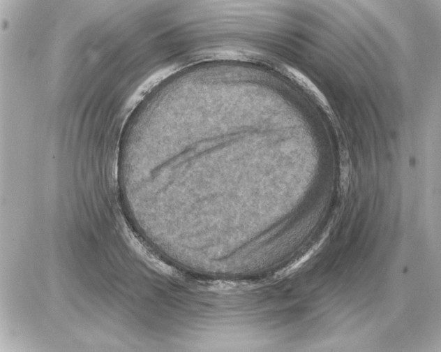 X0000085260938200704092111