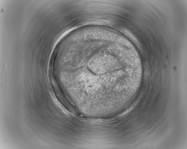 X0000085260940200704092111