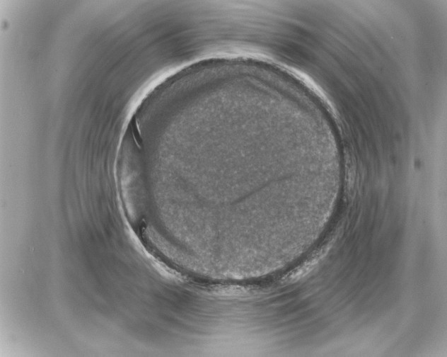 X0000085260943200704092111