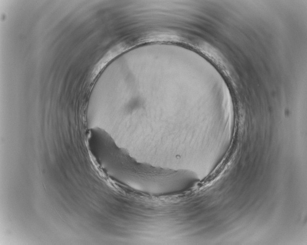 X0000085260945200704092111