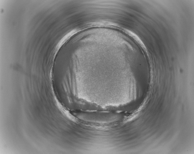 X0000085260946200704092111