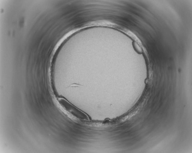 X0000085260947200704092111