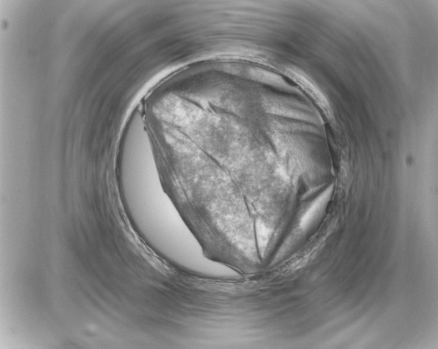 X0000085260948200704092111