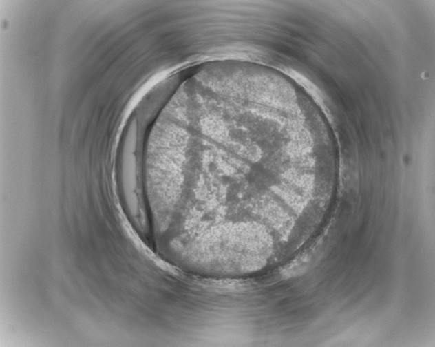 X0000085260949200704092111