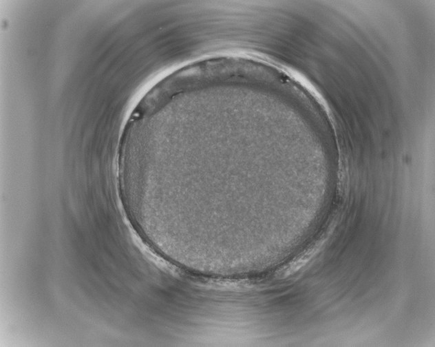 X0000085260951200704092111