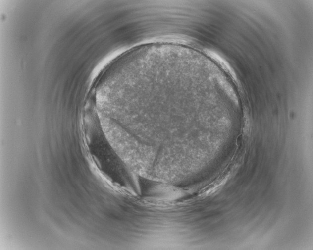 X0000085260952200704092111