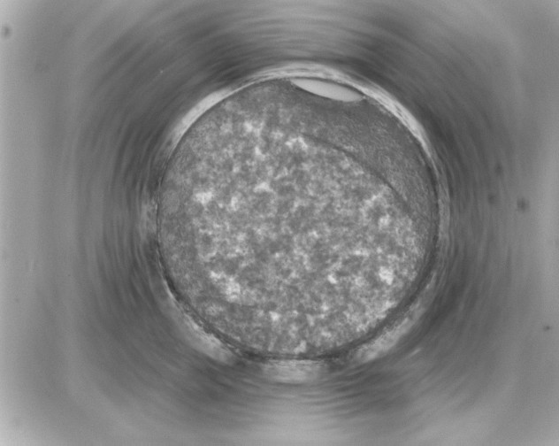 X0000085260953200704092111