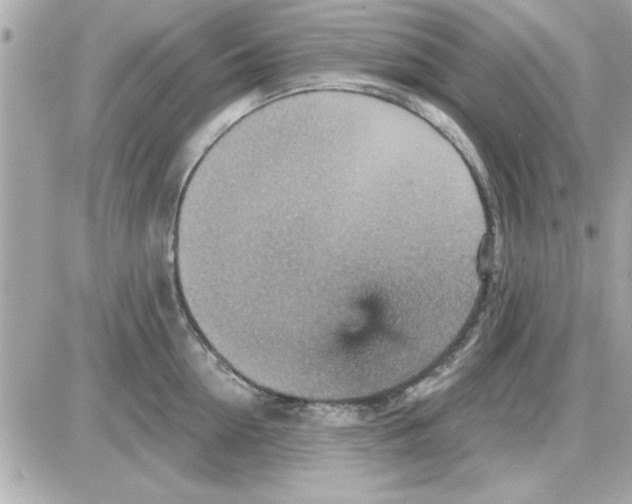 X0000085260954200704092111