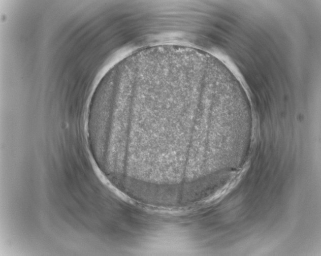 X0000085260957200704092111