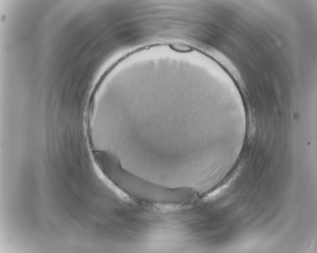 X0000085260958200704092111