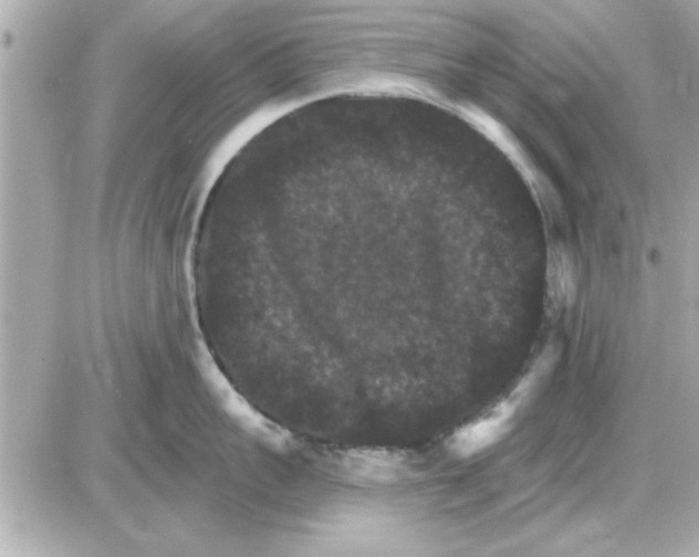 X0000085260959200704092111