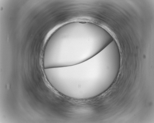 X0000085260960200704092111