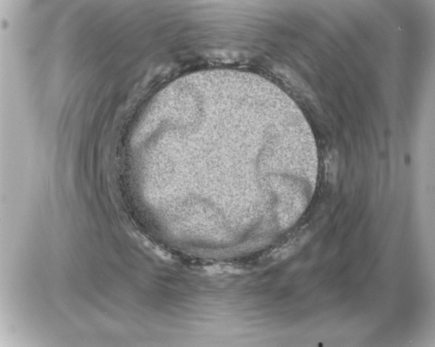 X0000085260961200704092110