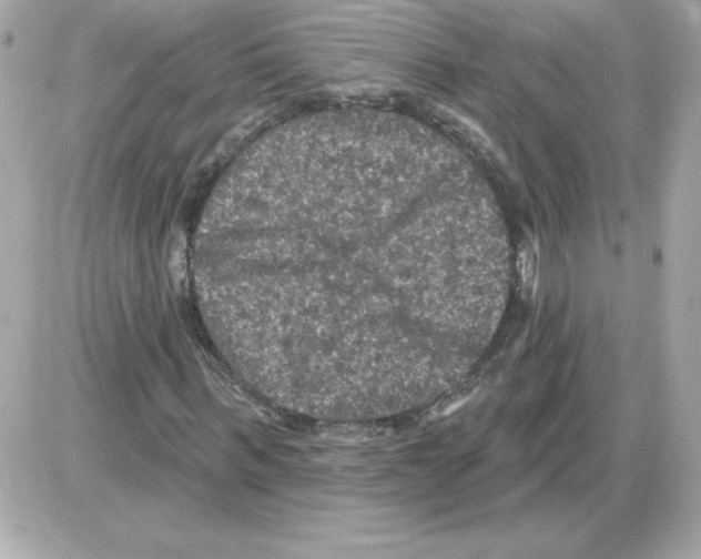 X0000085260963200704092110