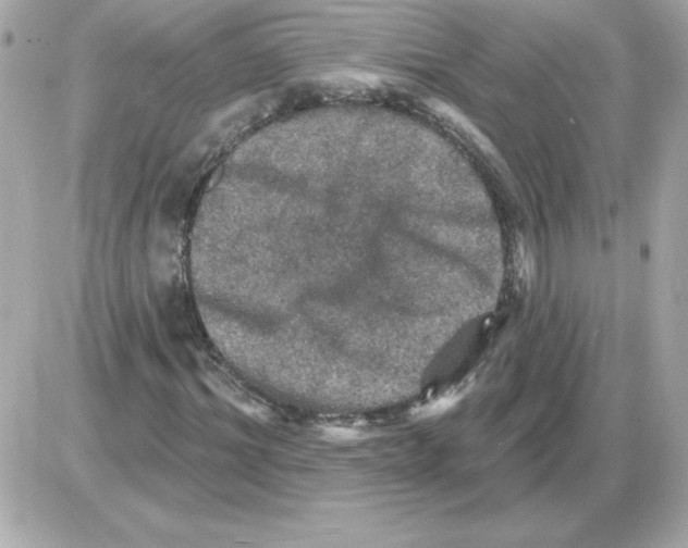 X0000085260964200704092110