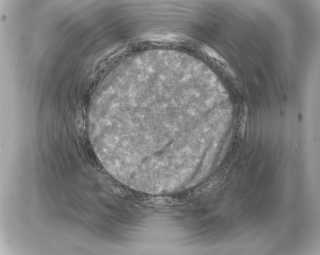 X0000085260966200704092110