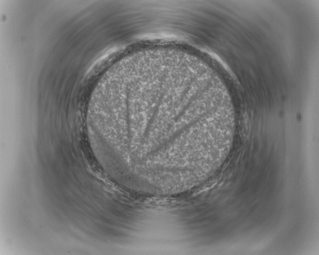 X0000085260967200704092110