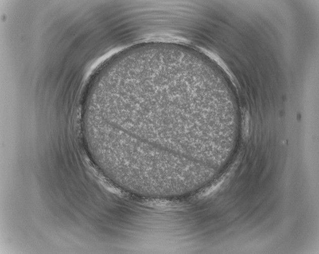 X0000085260971200704092110