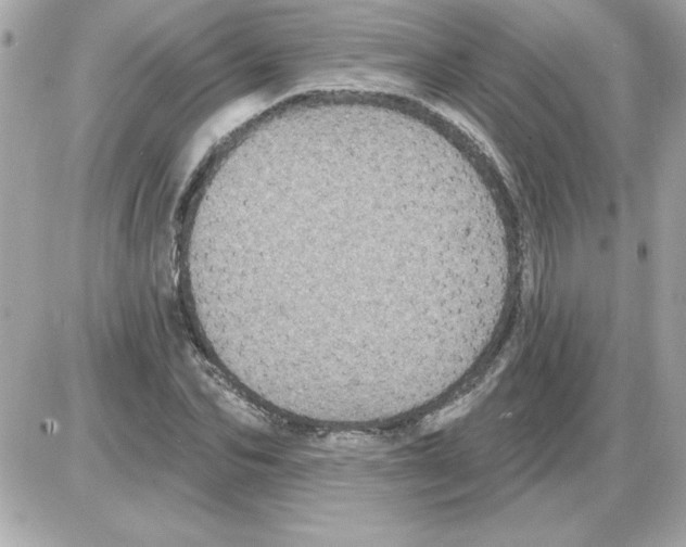 X0000085260974200704092110