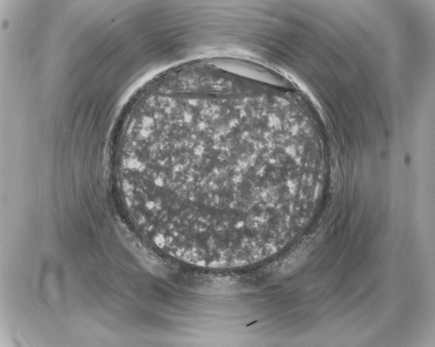 X0000085260975200704092110