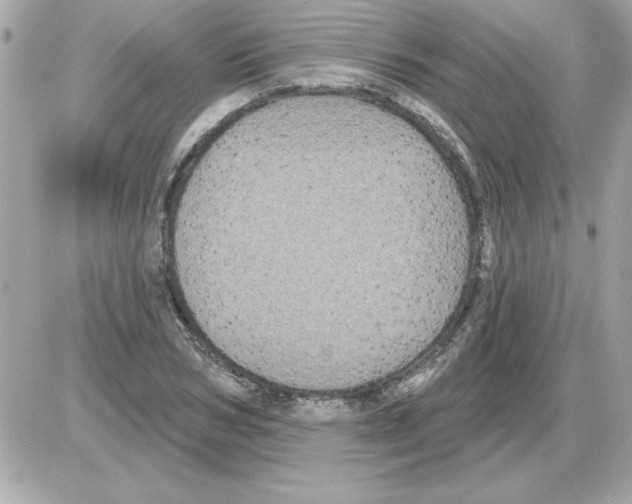 X0000085260978200704092110