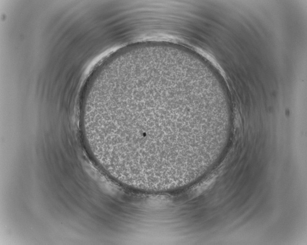 X0000085260979200704092110