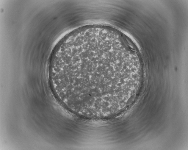 X0000085260983200704092110