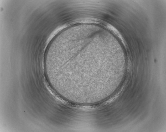 X0000085260986200704092110