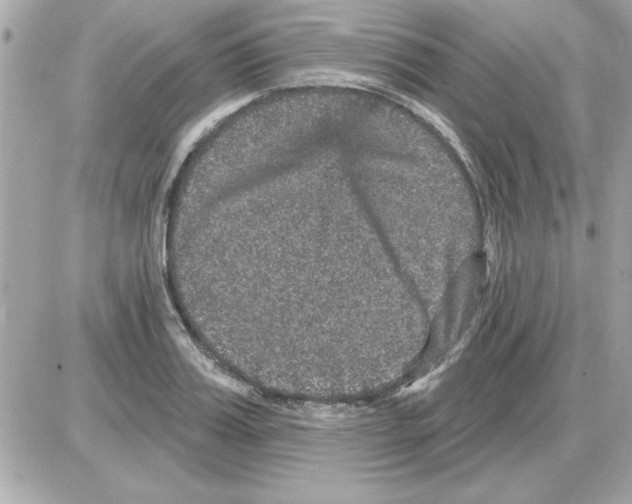 X0000085260987200704092110