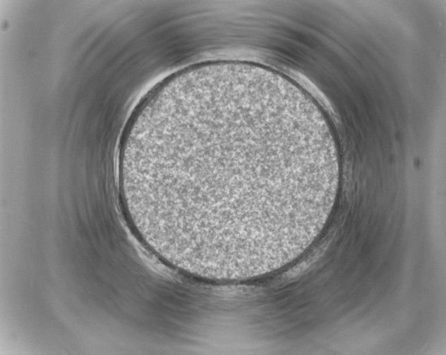 X0000085260988200704092110