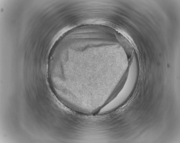 X0000085260992200704092110