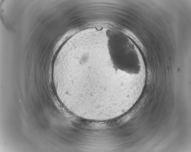 X0000085260994200704092110