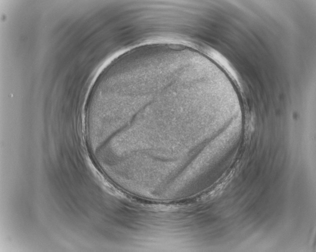 X0000085260996200704092110