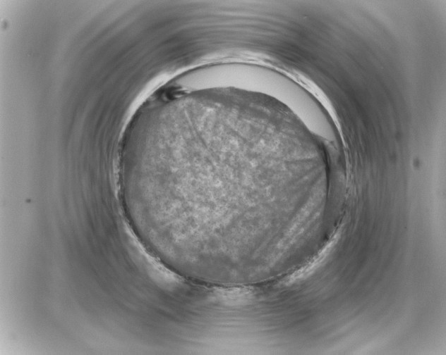 X0000085260997200704092110