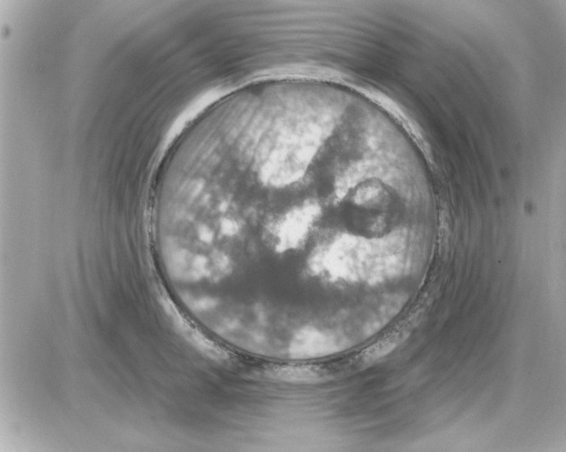 X0000085260998200704092110