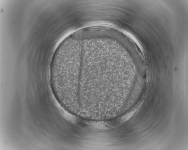 X0000085260999200704092110