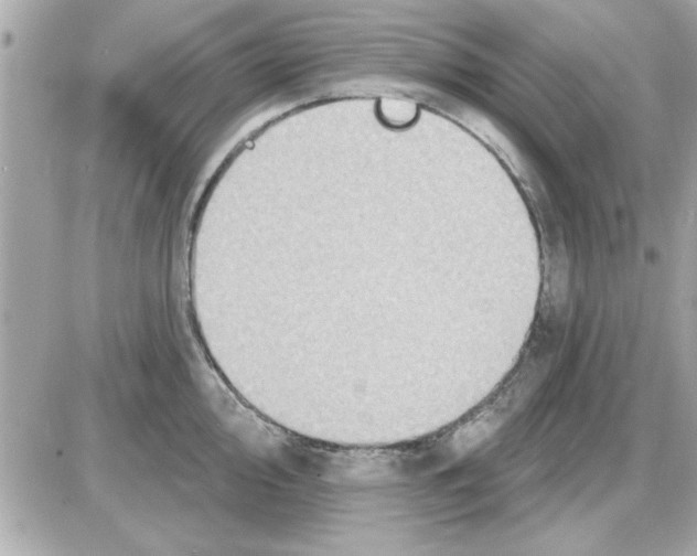 X0000085261000200704092110