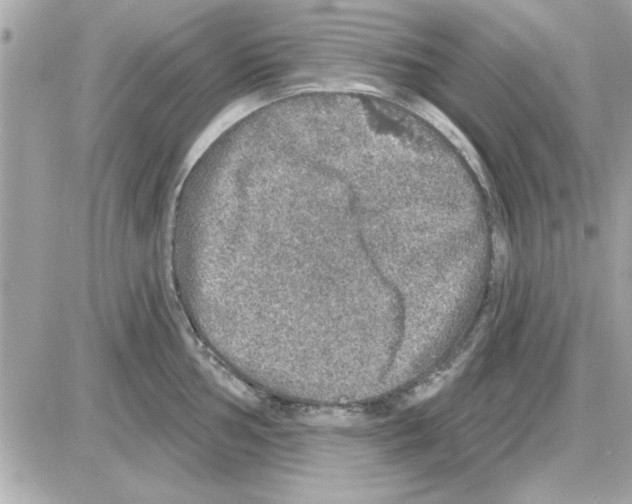 X0000085261002200704092109