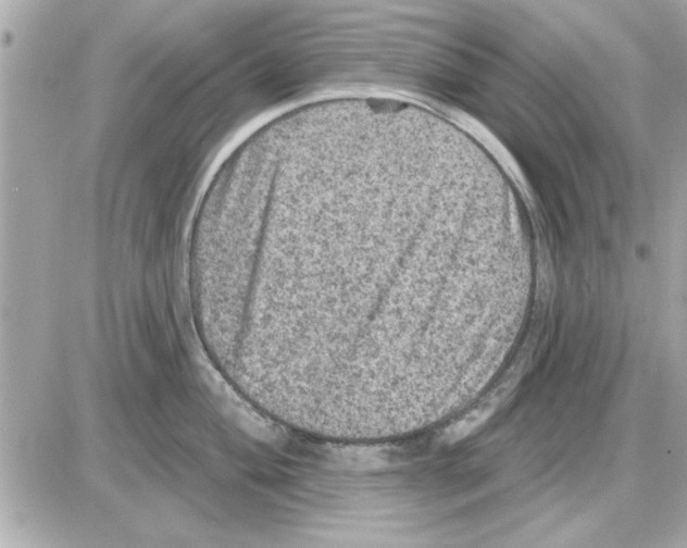 X0000085261004200704092109