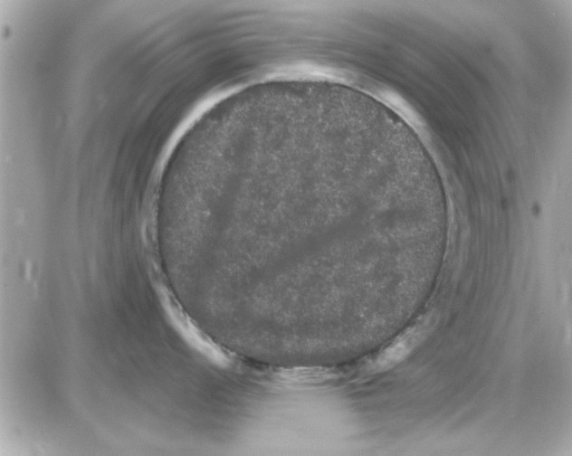 X0000085261008200704092109