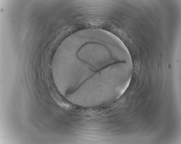 X0000085261009200704092109