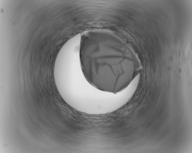 X0000085261010200704092109