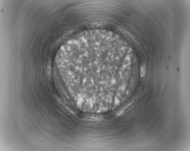 X0000085261011200704092109